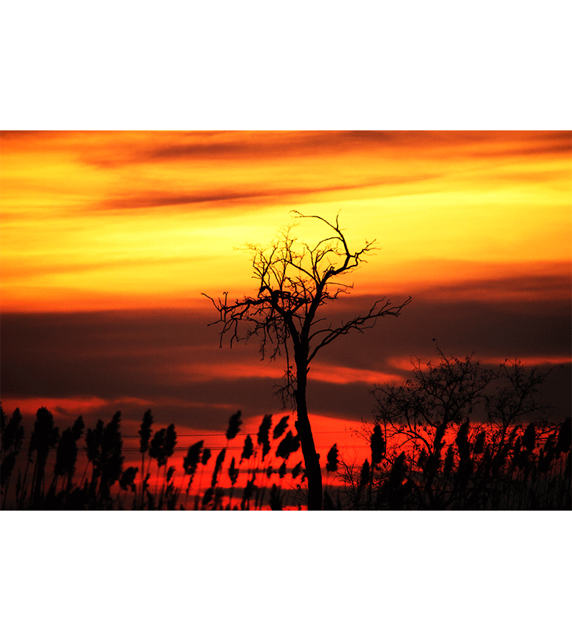 Zalazak sunca- Žolt Kavai slike
