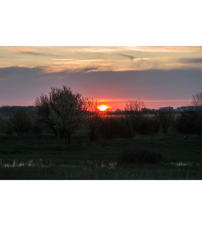 Izlazak sunca - Žolt Kavai slike