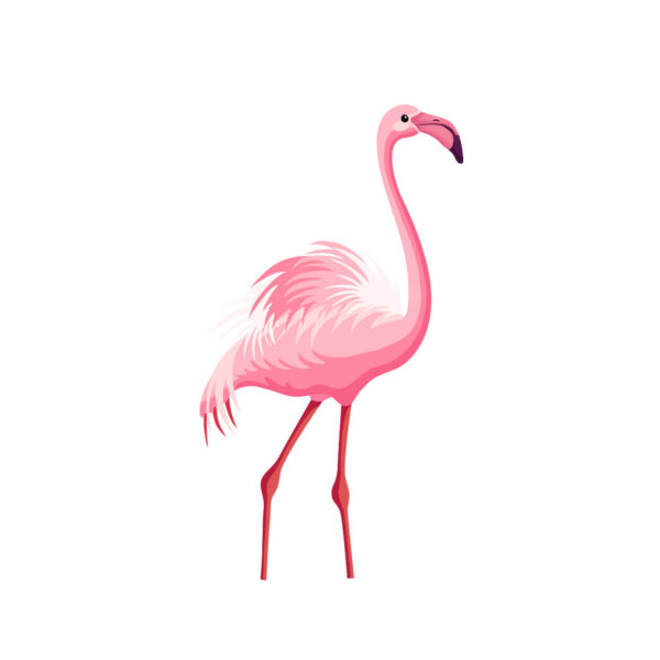 Pink flamingo stiker