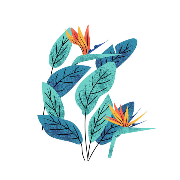 Tropical leaves stiker