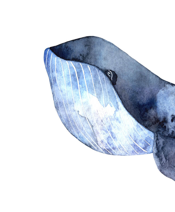 Blue whale - 1 slika