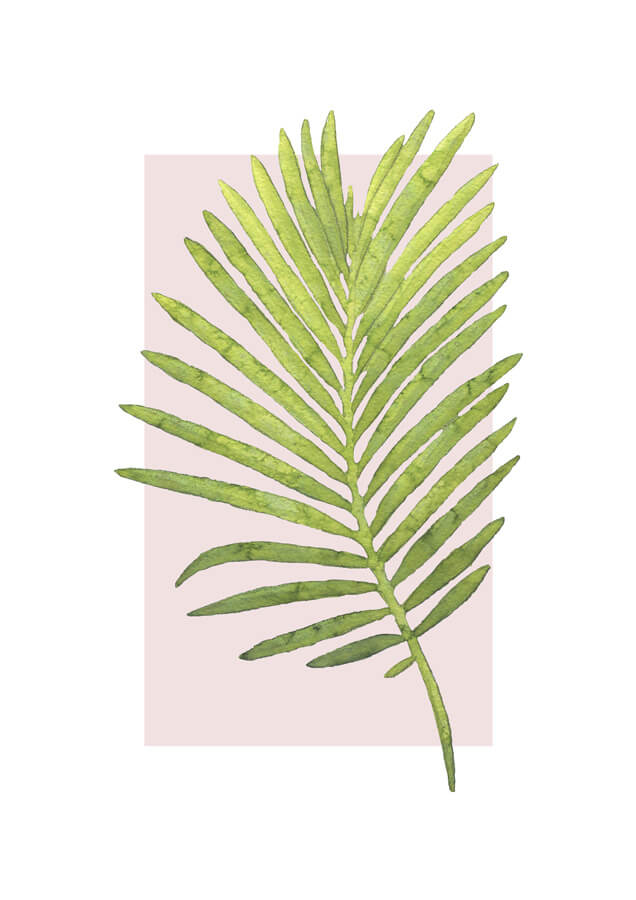 Tropical Watercolor Palm Leaf poster