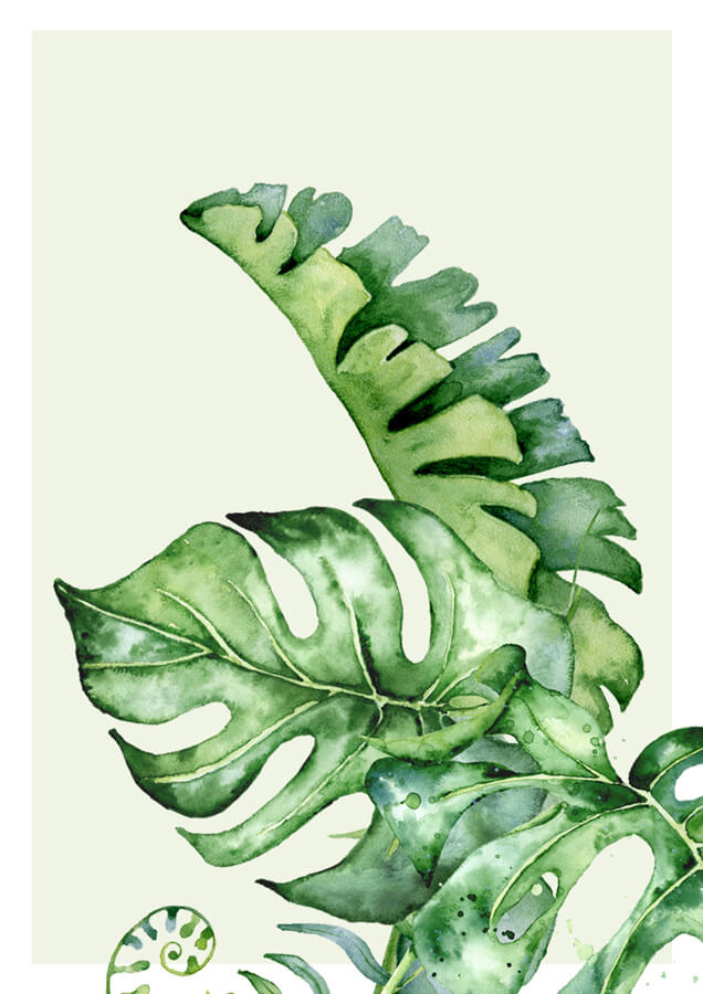 Tropical Green Leaf poster