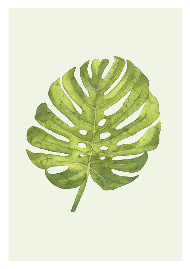 Watercolor Green Leaf poster