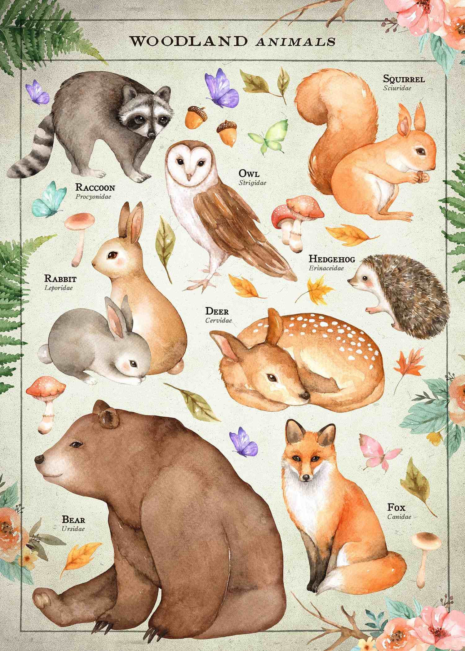 Woodland animals poster